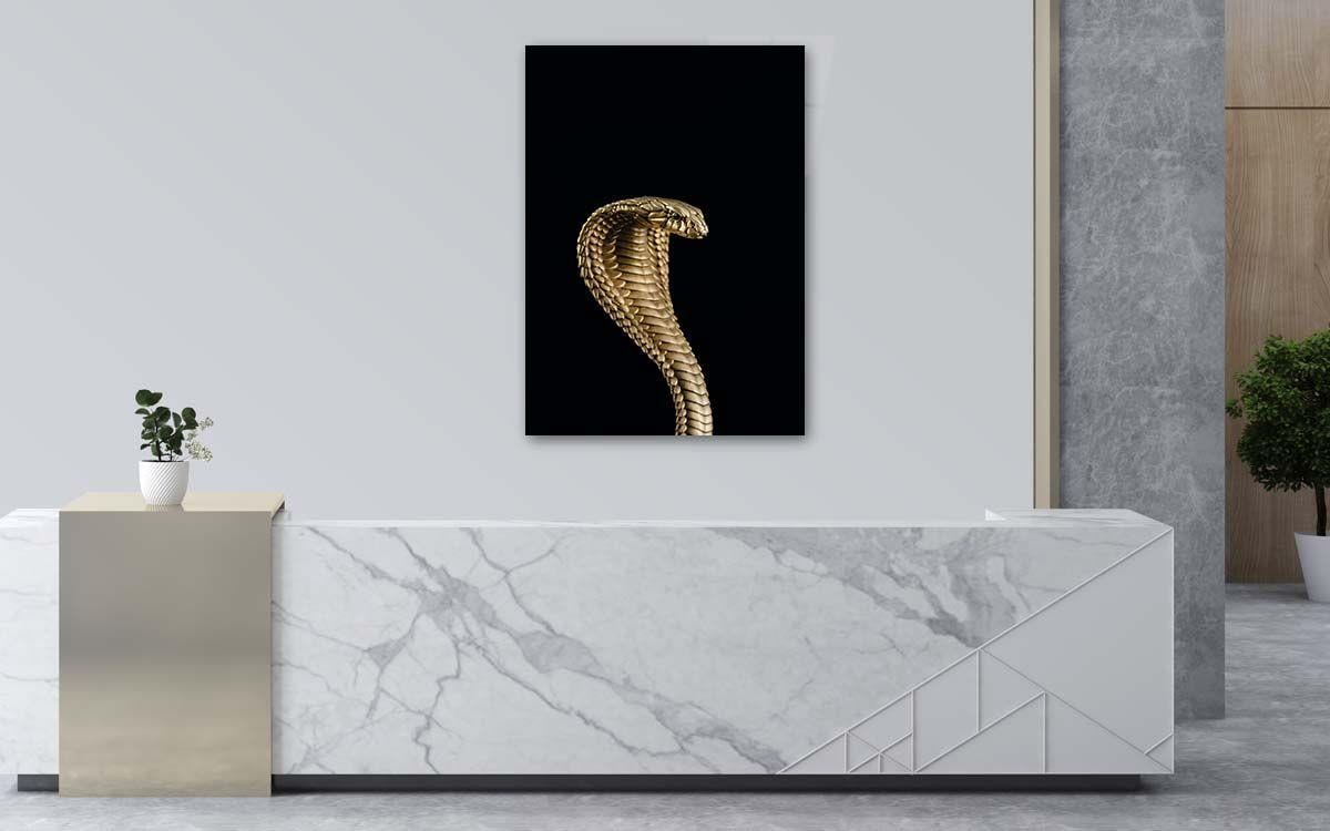 Tempered Glasss Wall Arts Art-Themed