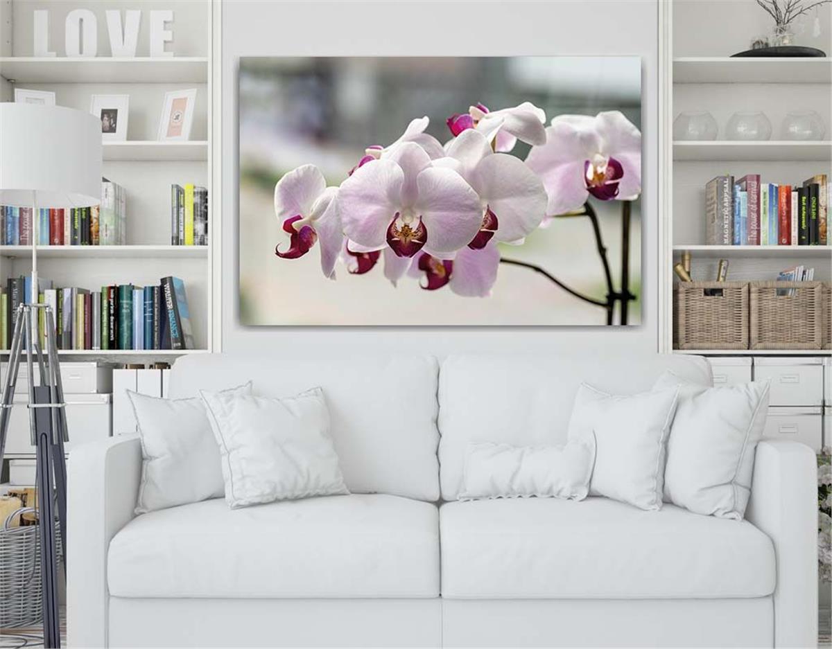 Horizontal Natured-Themed Tempered Glass Wall Art 313