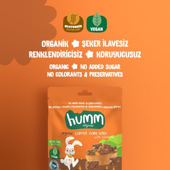 Organik Glutensiz Vegan Havuçlu ve Tarçınlı Kek Atıştırmalık Paketi - 3 adet