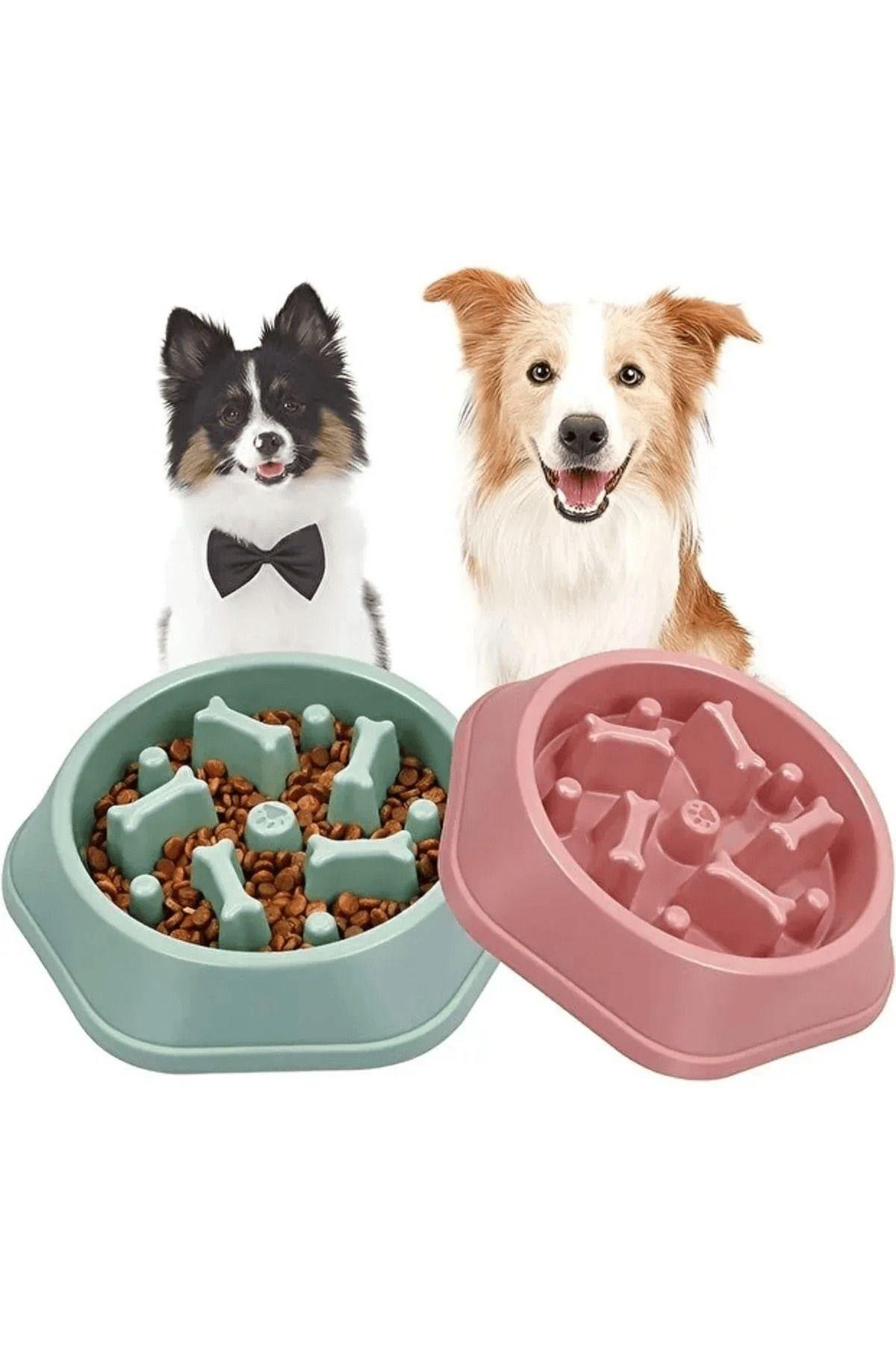Pribor Kedi Köpek Yavaş Yeme Mama Kabı