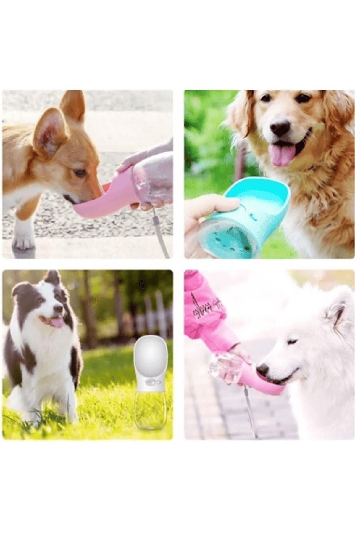 Pribor Taşınabilir Kedi Köpek Suluğu Seyahat Su Şişesi Kaseli Emniyetli Sızdırmaz Kutulu 350 ML
