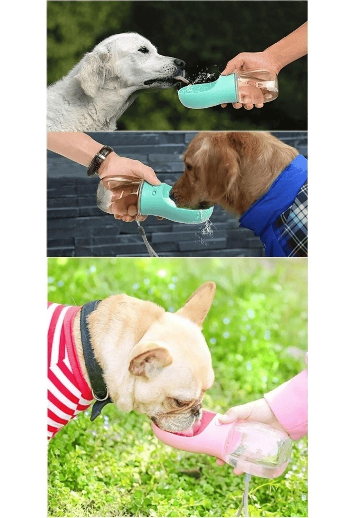 Pribor Taşınabilir Kedi Köpek Suluğu Seyahat Su Şişesi Kaseli Emniyetli Sızdırmaz Kutulu 350 ML