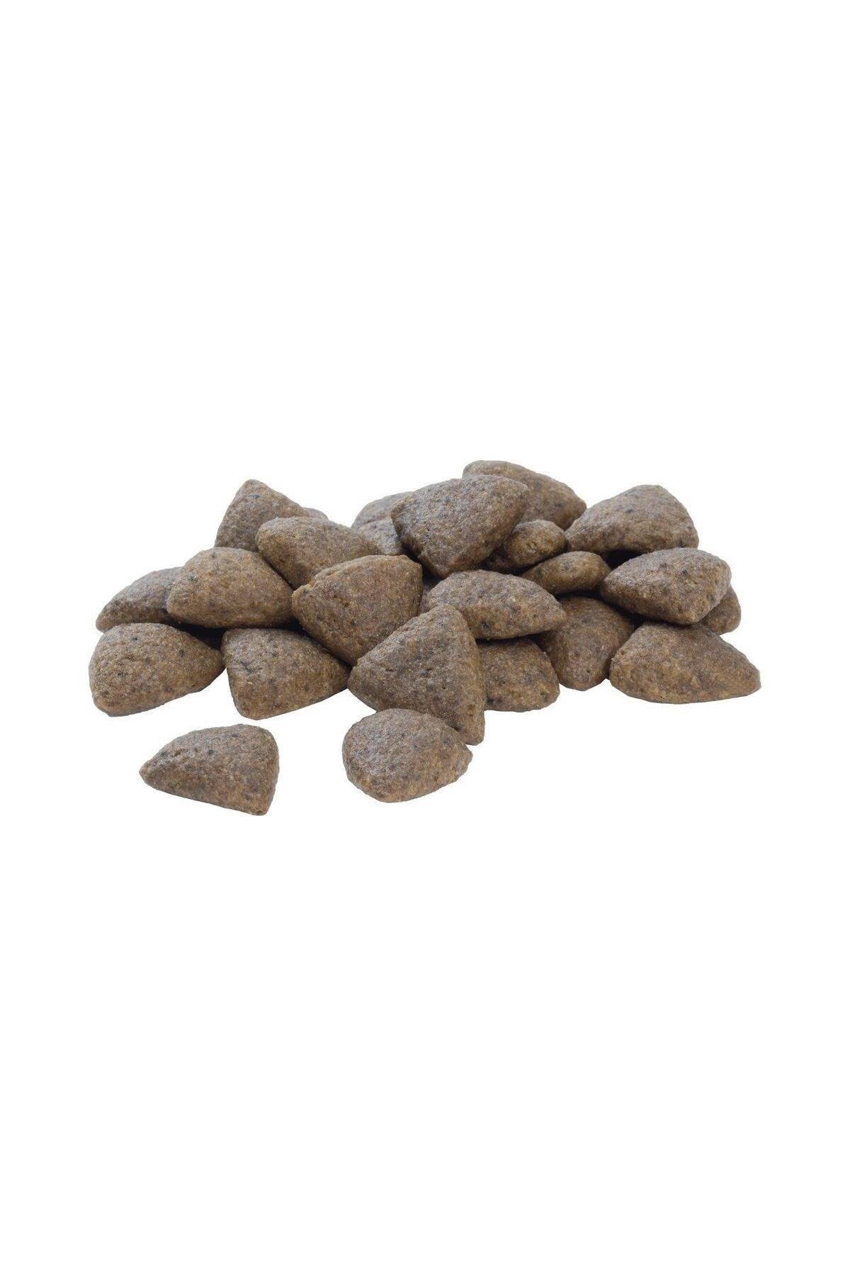 Proplan Medium Adult Tavuklu Yetişkin Köpek Maması 16,5 kg