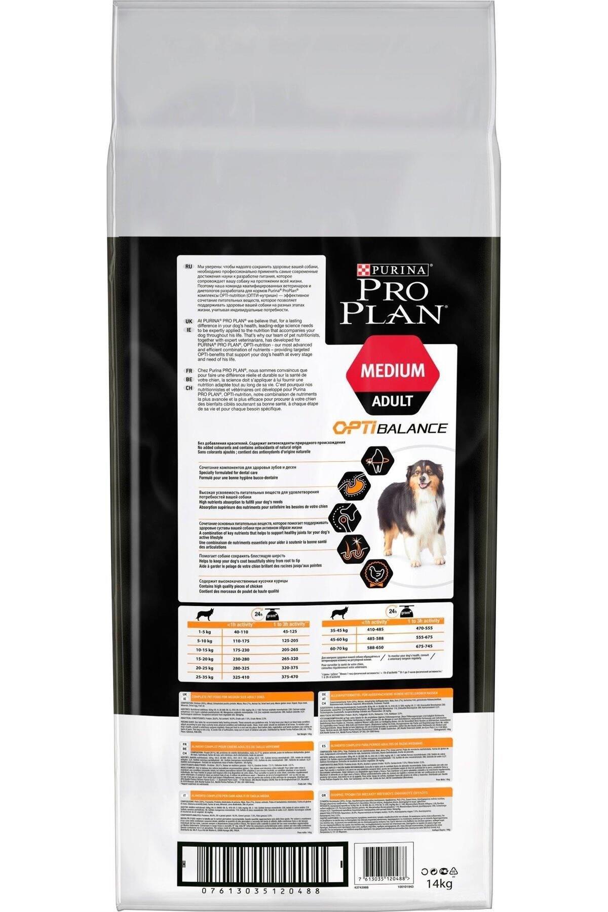 Proplan Medium Adult Tavuklu Yetişkin Köpek Maması 16,5 kg