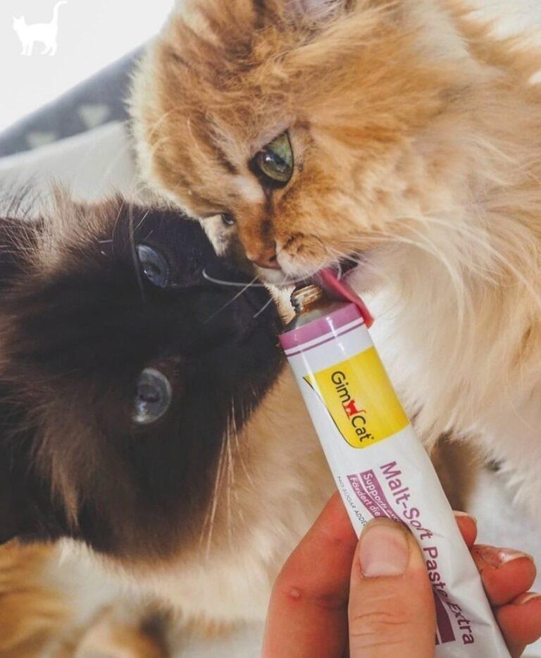GimCat Malt-Soft Extra Tüy Yumağı Önleyici Kedi Macunu 20 Gr