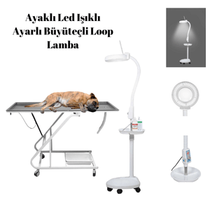 Ayaklı Led  Işıklı Ayarlı  Büyüteçli Loop Lamba 