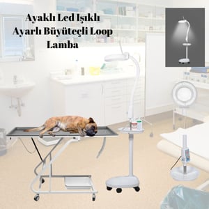 Ayaklı Led  Işıklı Ayarlı  Büyüteçli Loop Lamba 