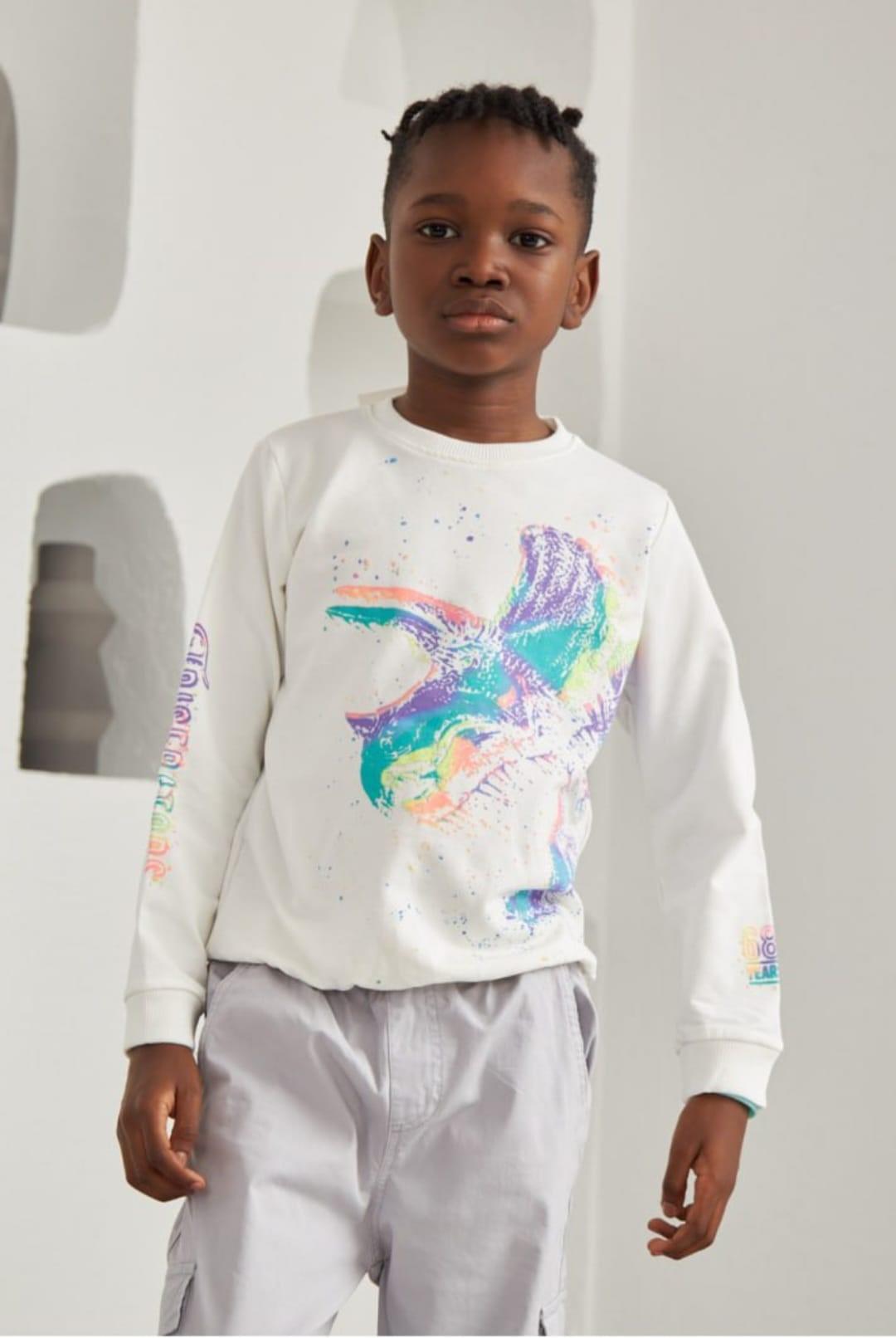 MAC-3651-009Erkek Çocuk Dinazor Desenli Sweat