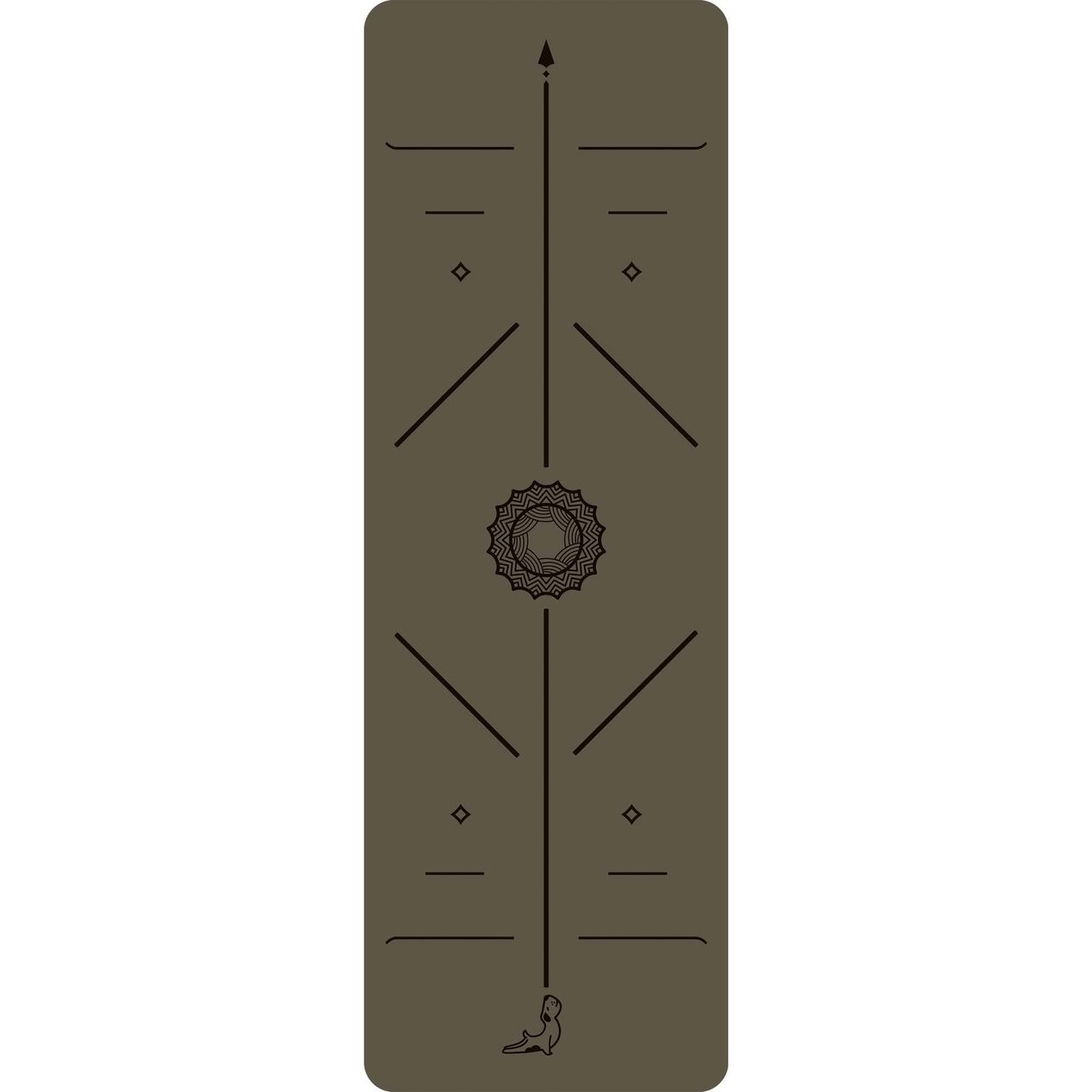 Petarya Focus Series - PETARYA