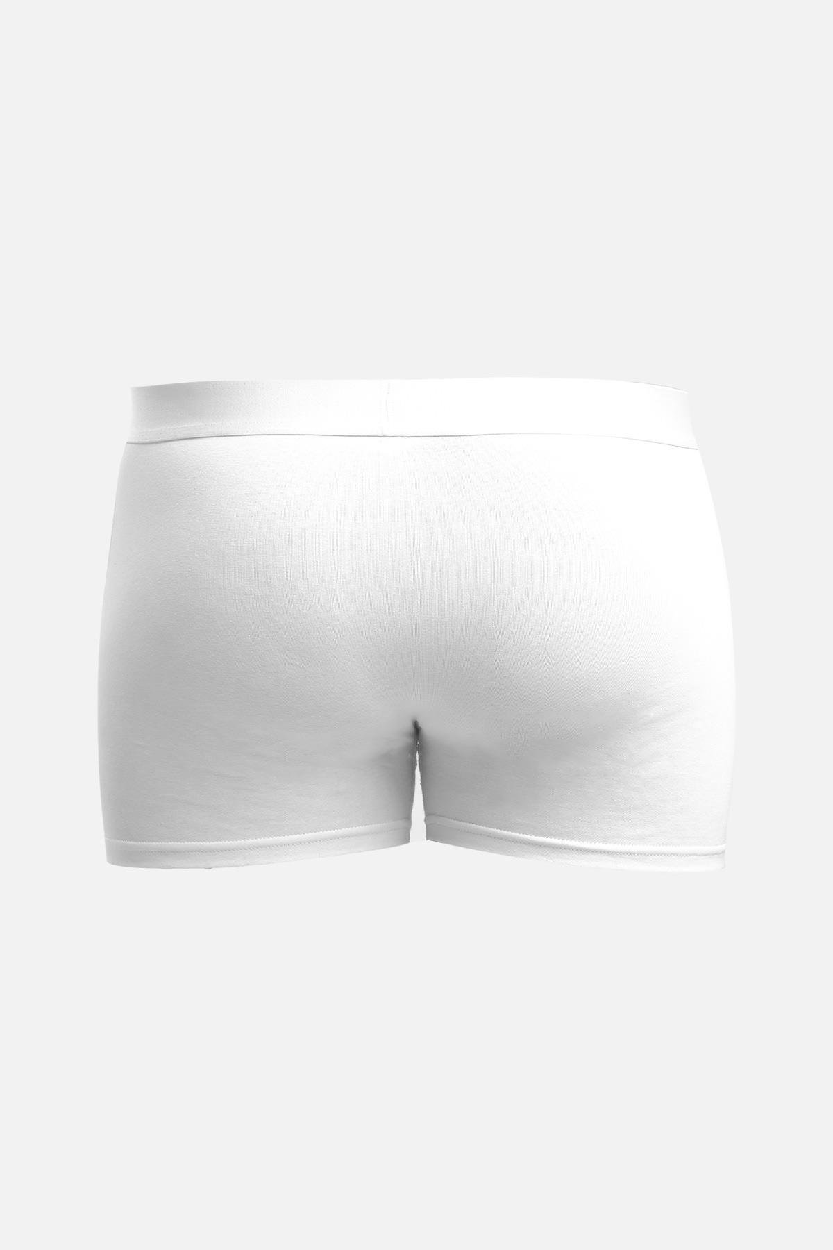 Aytuğ Erkek Pamuklu Beyaz 2'li Boxer - A-BXR-B