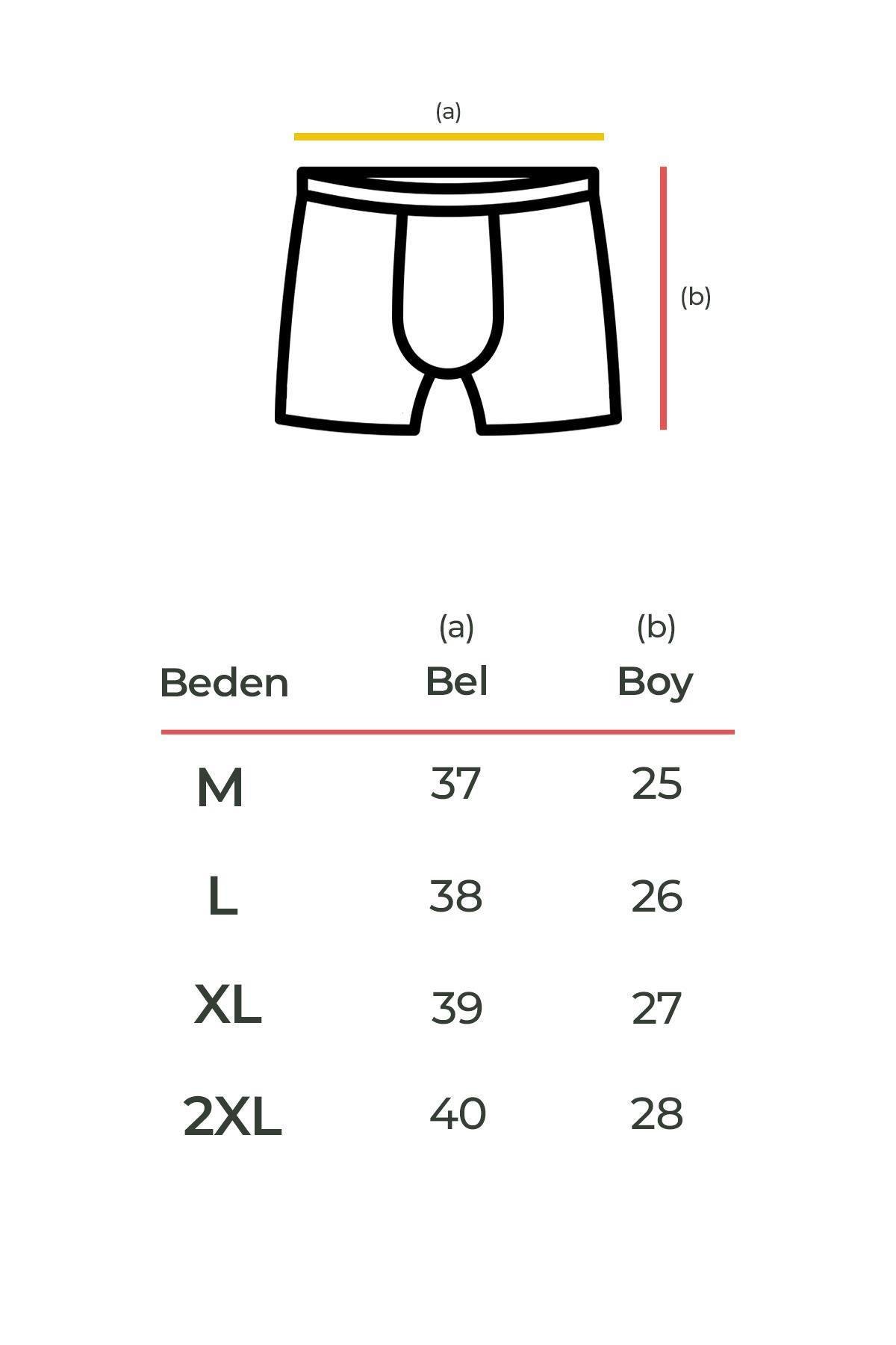 Aytuğ Erkek Pamuklu Siyah 2'li Boxer A BXR S