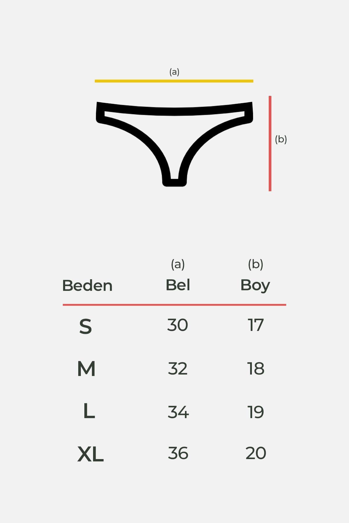 Aytuğ Kadın Pamuklu String   Tekli