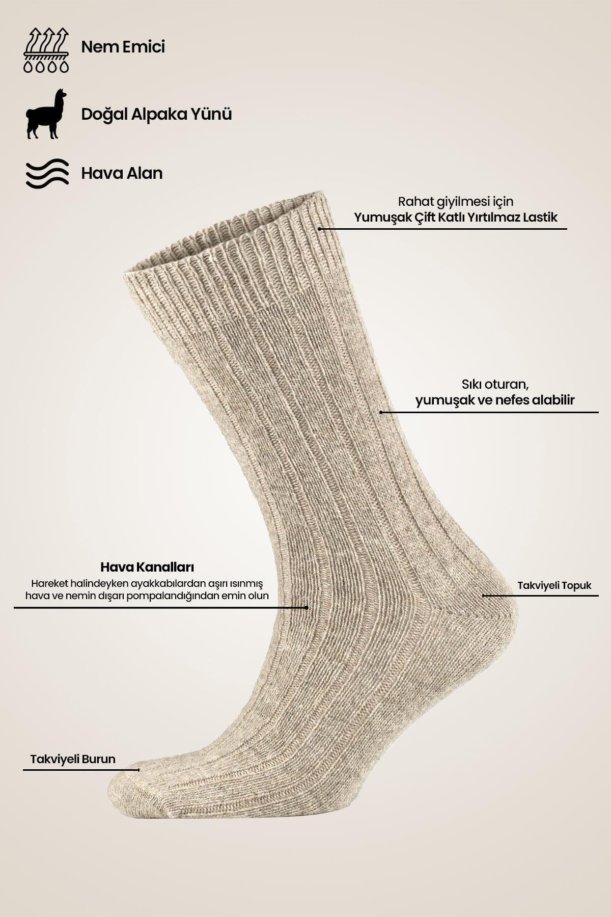Aytuğ Unisex Alpaka Yünü Havlu Kışlık Kahve/Yeşil Soket Çorap   A 6006