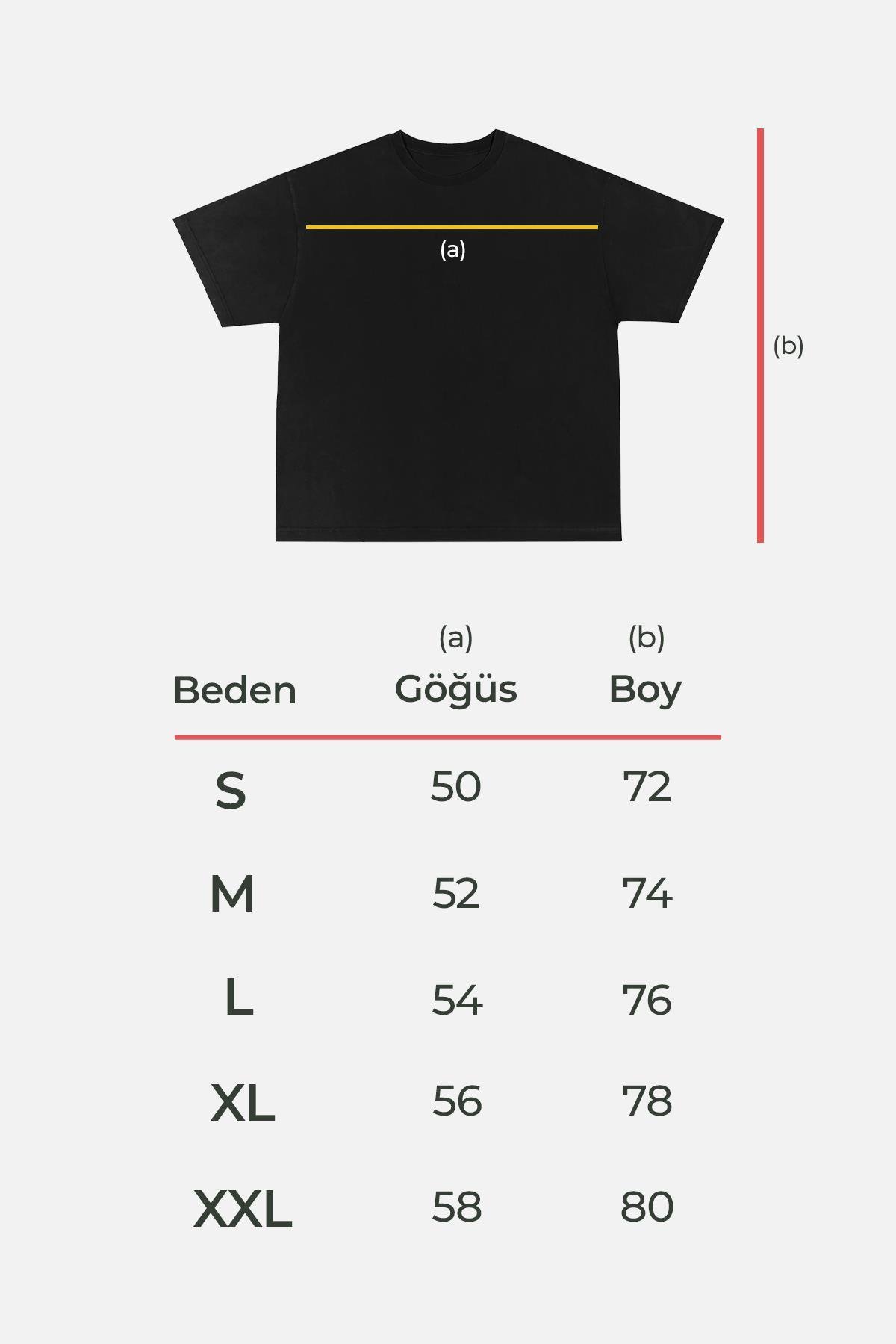 Mısırlı Erkek Pamuklu Oval Kesim Oversize Antrasit T-Shirt - M-OVRT-A