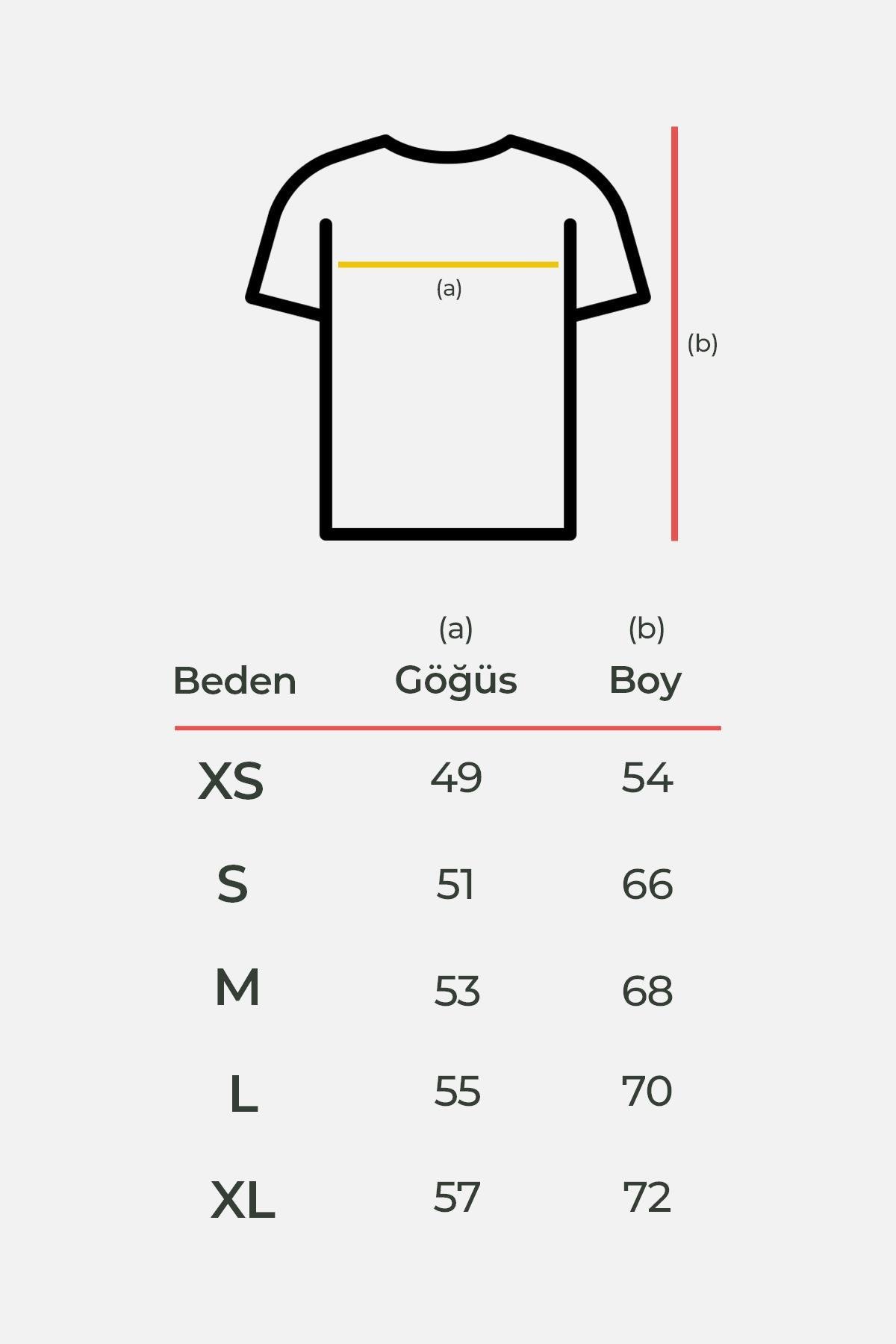 Mısırlı Kadın Pamuklu Bisiklet Yaka Füme Regular Fit Tişört M KTSHIRT RF F