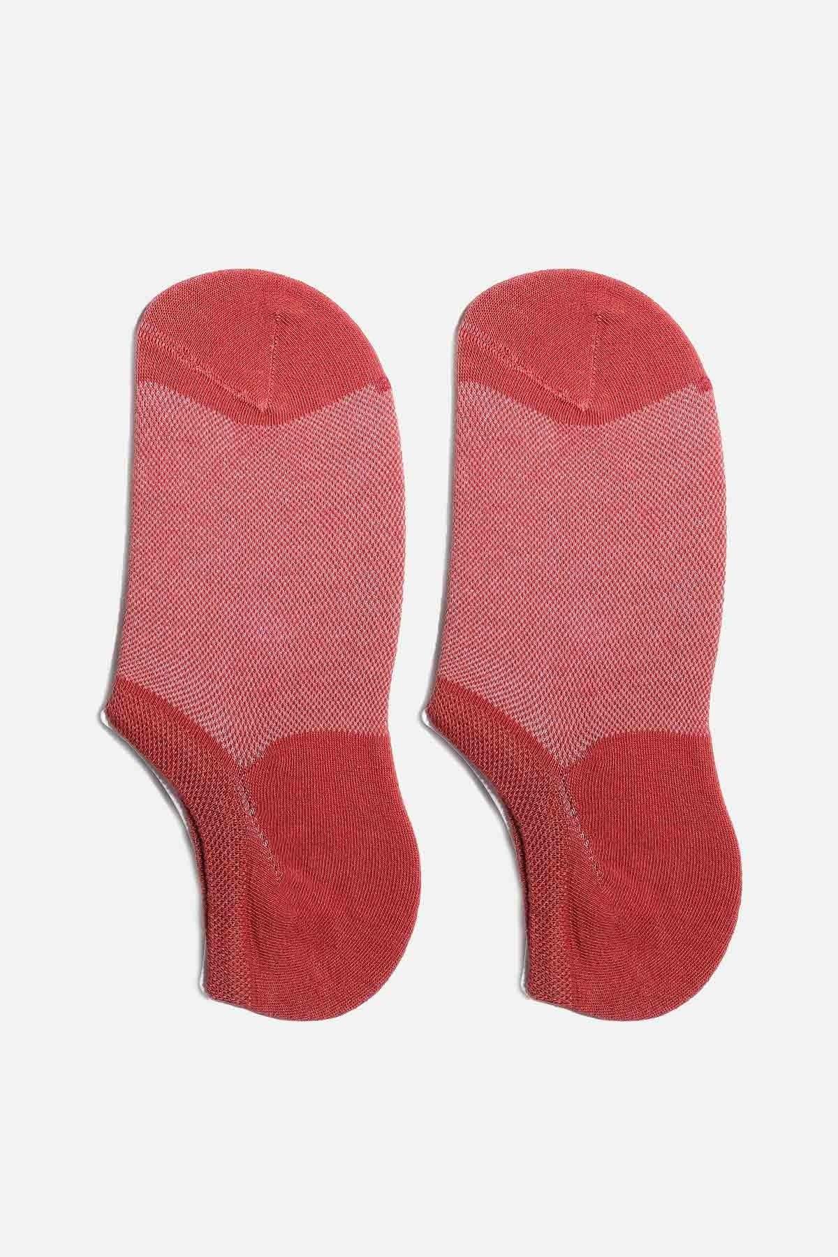 Mısırlı Kadın Pamuklu Tekli Kiremit Yazlık Sneaker Çorap