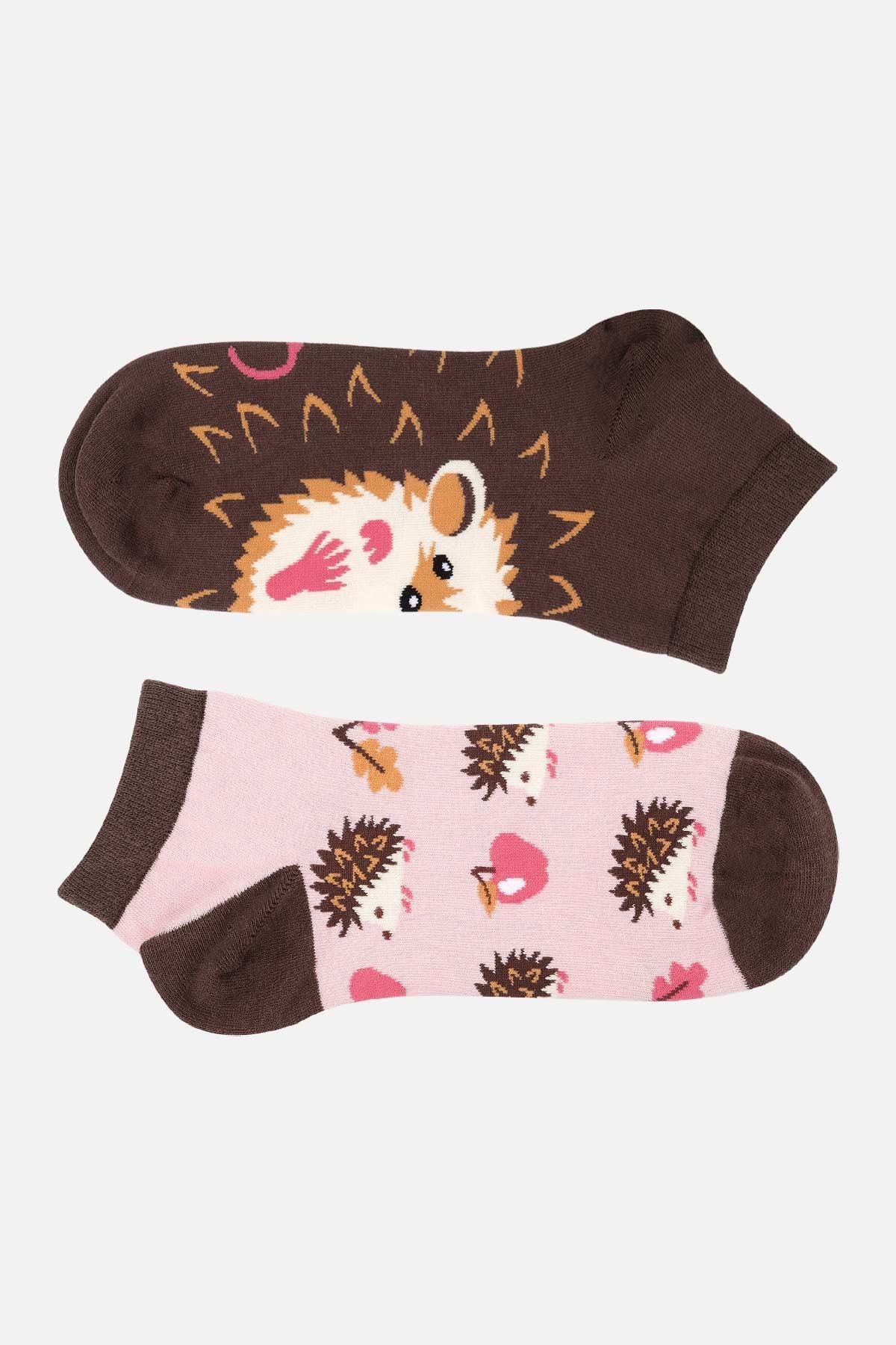 Mısırlı Unisex Pamuklu Kirpi Desenli Eğlenceli Patik Çorap M KIRPI D1