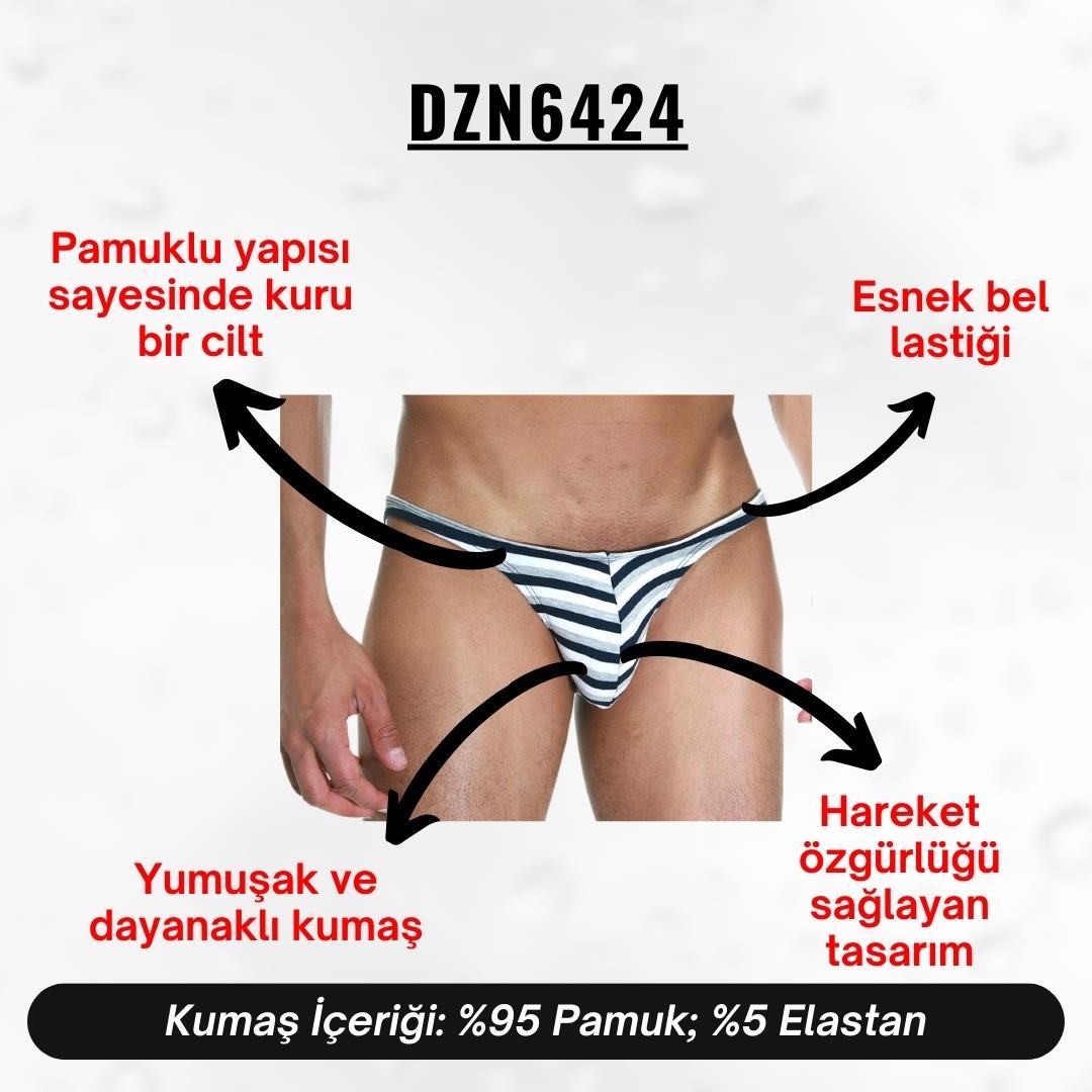 Çizgili Desenli Erkek Slip - DZN6424