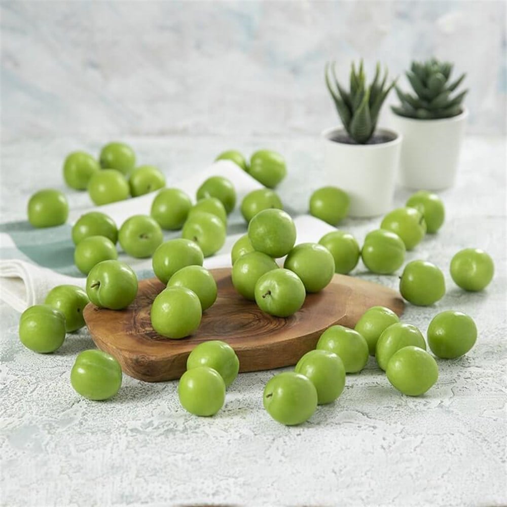 CAN ERİK -500 GR
