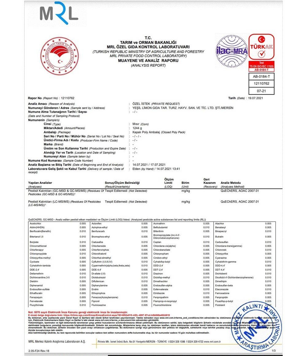 YERLİ MISIR- 3 ADET