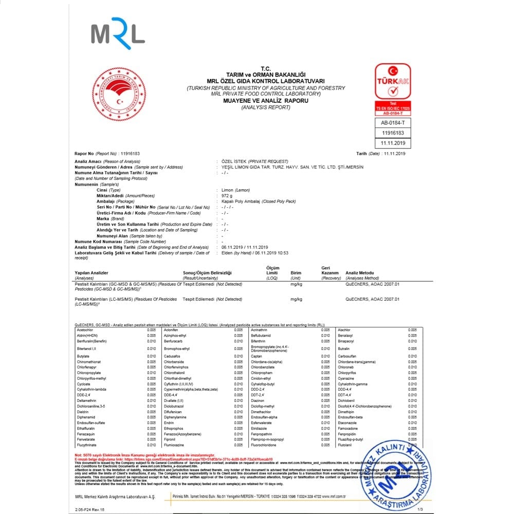 YEŞİL LİMON -1KG