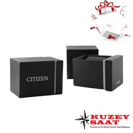 Citizen Tsuyosa Small Second NK5010-51X Erkek Kol Saati