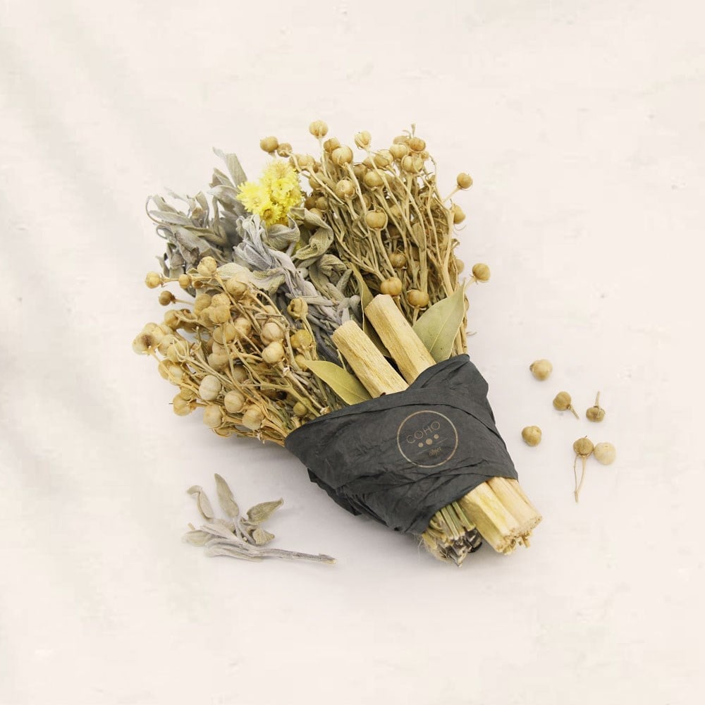 Coho Natural 2 Üzerlik & 1 Adaçayı & 2 Palo Santo Tütsü Seti 5 Parça