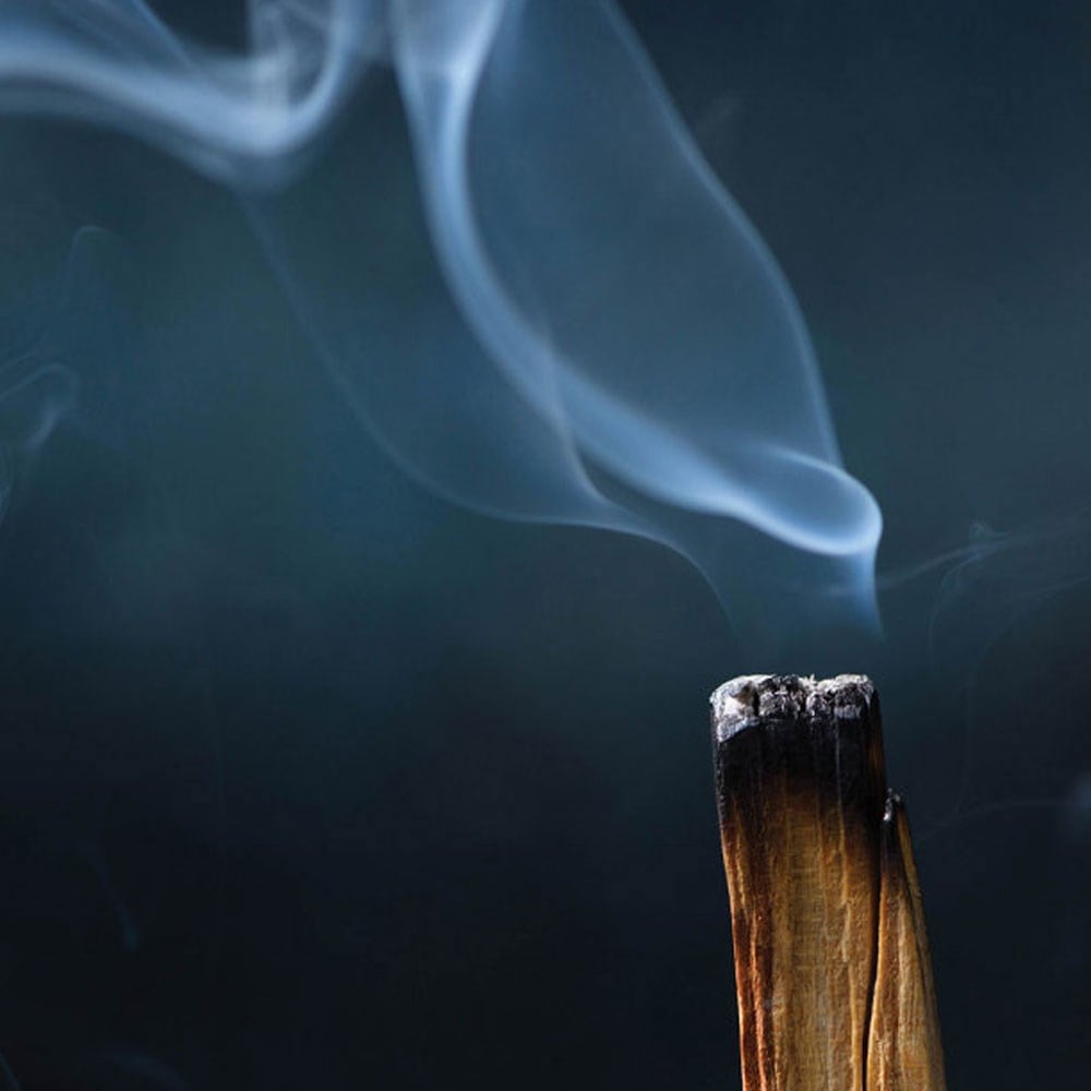 Coho Natural Palo Santo Tütsü Ağacı 4 lü set