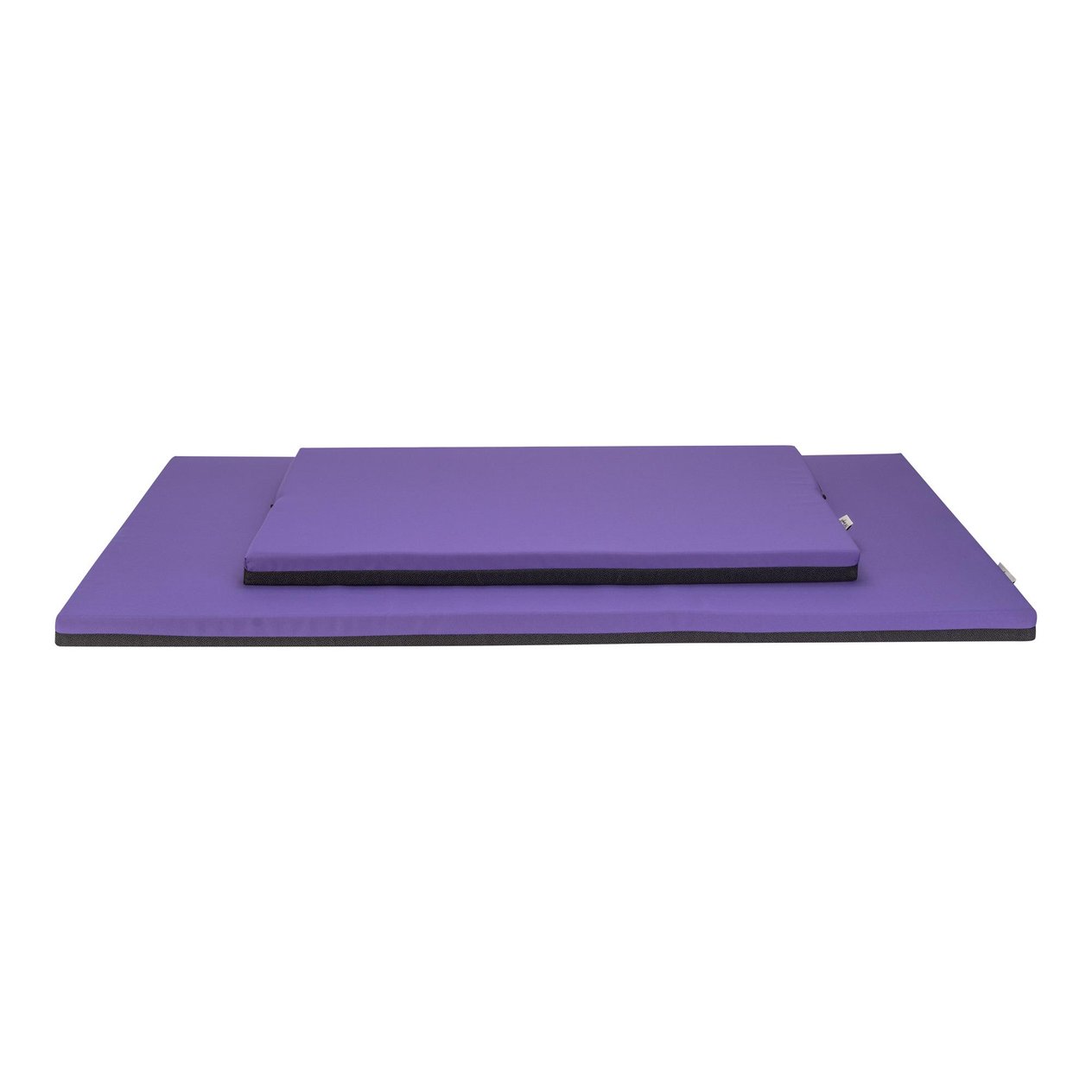 Pet Comfort One Ortopedik Köpek Yatağı Mor M 50x75x5cm