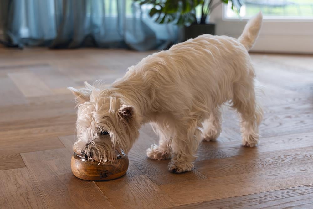 Beeztees DBL Köpek Mama Su Kabı, Dışı Masif Ahşap, Paslanmaz Çelik, 16,5cm, 650ml