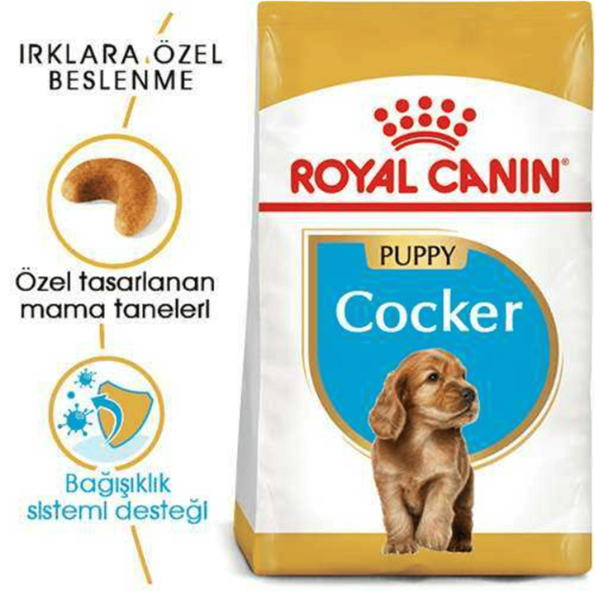 Royal Canin Cocker Yetişkin Köpek Maması 3 Kg