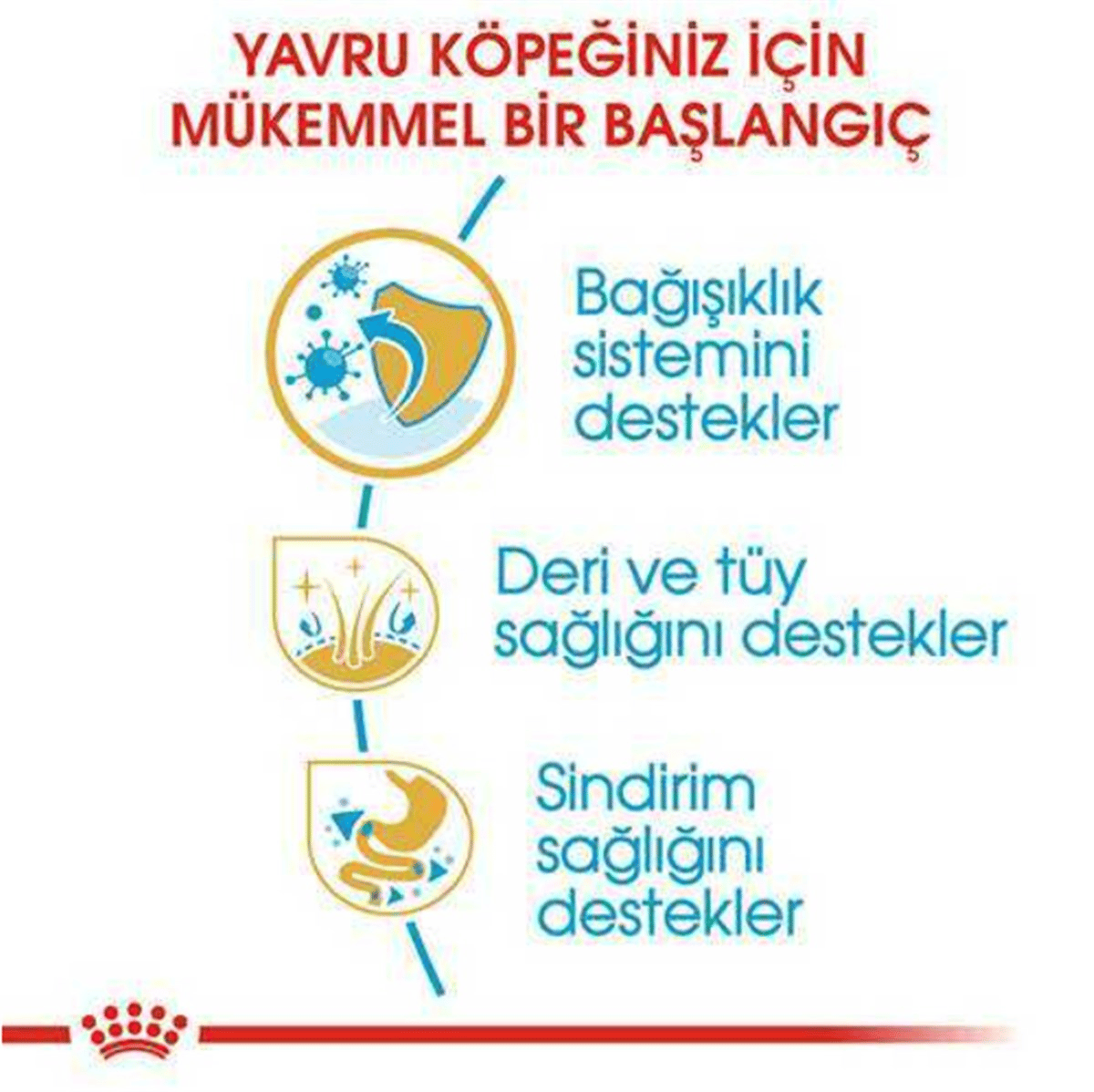 Royal Canin Cocker Yetişkin Köpek Maması 3 Kg