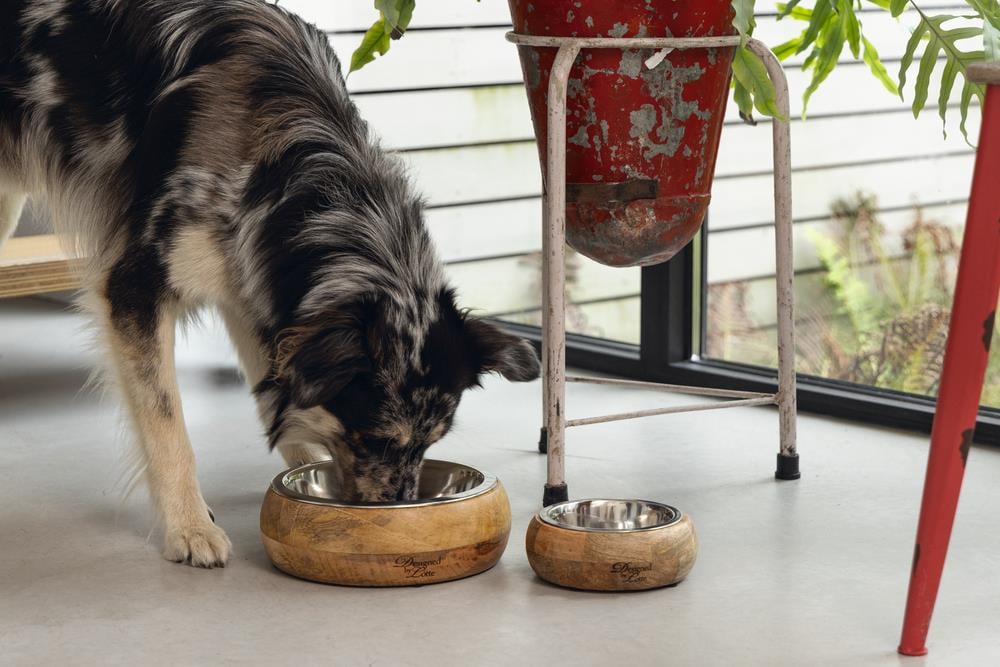 Beeztees DBL Köpek Mama Su Kabı, Dışı Masif Ahşap, Paslanmaz Çelik, 16,5cm, 650ml