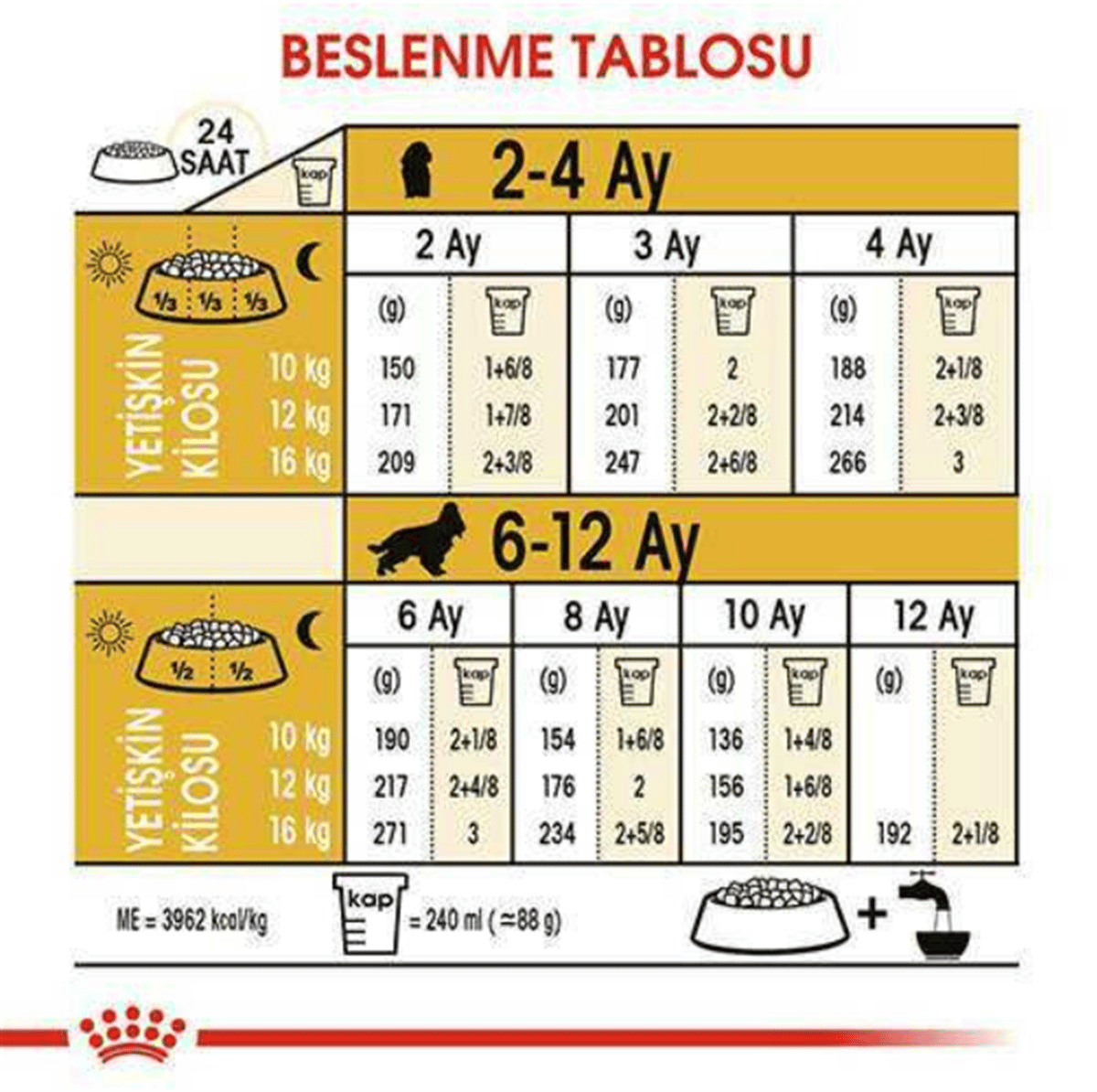 Royal Canin Cocker Yetişkin Köpek Maması 3 Kg