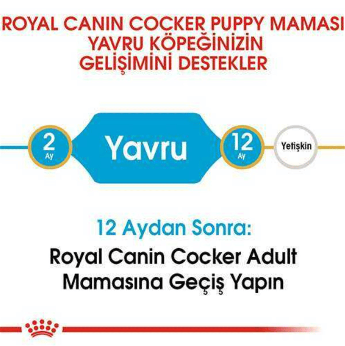 Royal Canin Cocker Yetişkin Köpek Maması 3 Kg