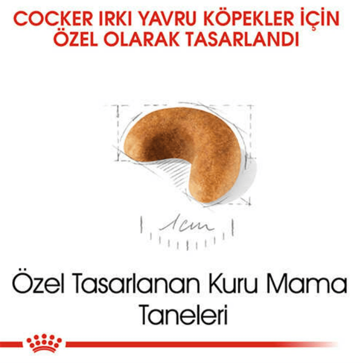 Royal Canin Cocker Yetişkin Köpek Maması 3 Kg
