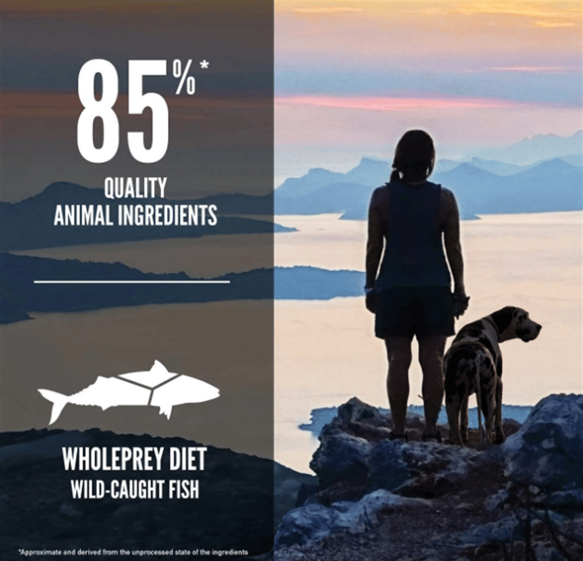 Orijen 6 Six Fish Tahılsız Balıklı Yetişkin Köpek Maması 2 Kg