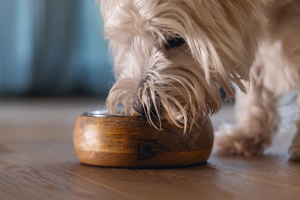 Beeztees DBL Köpek Mama Su Kabı, Dışı Masif Ahşap, Paslanmaz Çelik, 16,5cm, 650ml