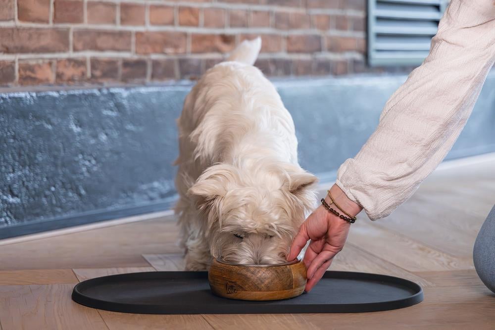 Beeztees DBL Köpek Mama Su Kabı, Dışı Masif Ahşap, Paslanmaz Çelik, 16,5cm, 650ml