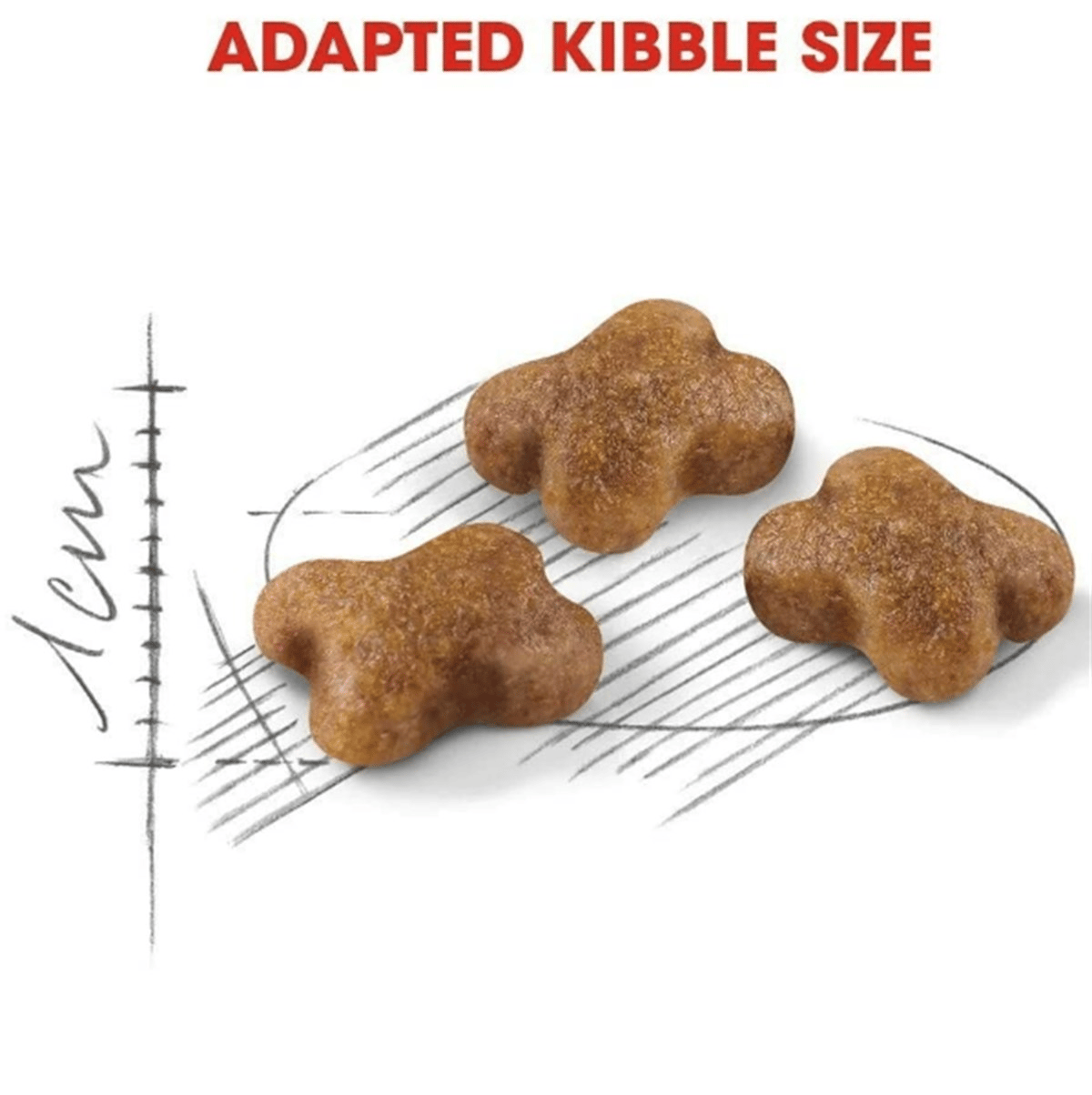 Royal Canin Kitten Yavru Kuru Kedi Maması 2 Kg