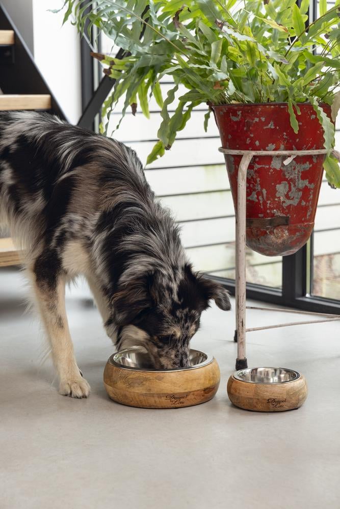 Beeztees DBL Köpek Mama Su Kabı, Dışı Masif Ahşap, Paslanmaz Çelik, 16,5cm, 650ml
