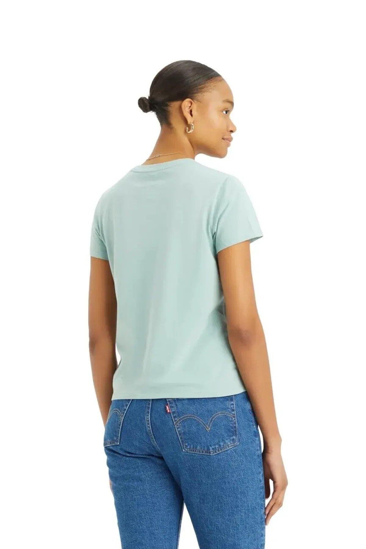 LEVI'S TR_PERFECT TEE SKYWAY A4917-0008