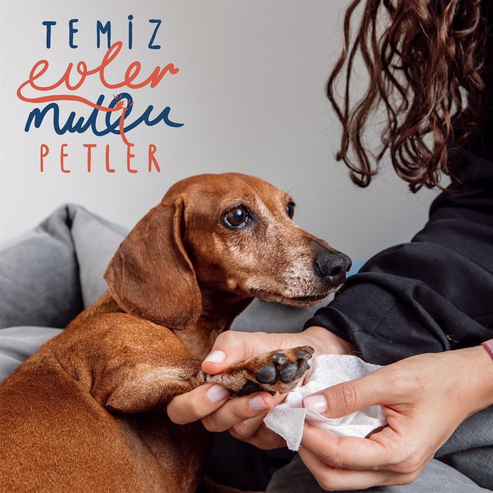 Tanışma Paketi (Koku Giderici Sprey & Islak Mendil & Kokusuz Bakım Spreyi)