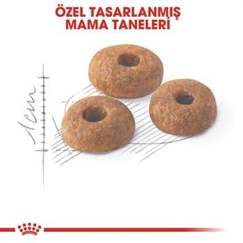 Royal Canin Fit Yetişkin Kedi Maması 10Kg