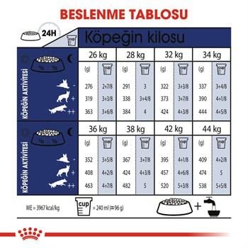 Royal Canin Maxi Adult büyük Irk Yetişkin Köpek  Maması 15 Kg
