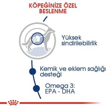 Royal Canin Maxi Adult büyük Irk Yetişkin Köpek  Maması 15 Kg