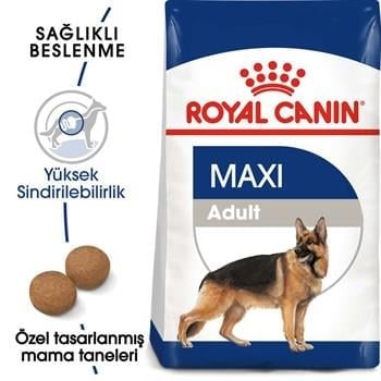 Royal Canin Maxi Adult büyük Irk Yetişkin Köpek  Maması 15 Kg