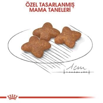 Royal Canin Mini Adult Küçük Irk Köpek Maması 8 Kg