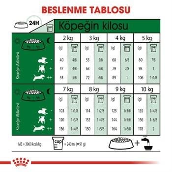 Royal Canin Mini Adult Küçük Irk Köpek Maması 8 Kg