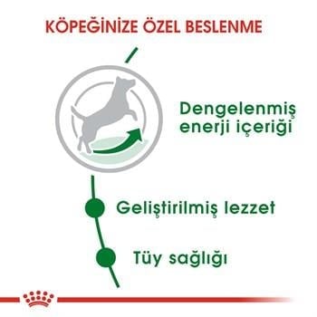 Royal Canin Mini Adult Küçük Irk Köpek Maması 8 Kg